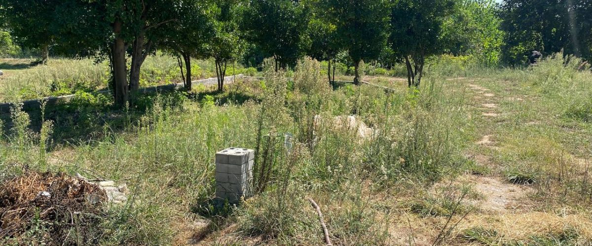 پروژه سراوان